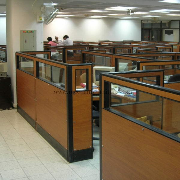 Standard Partition 4
